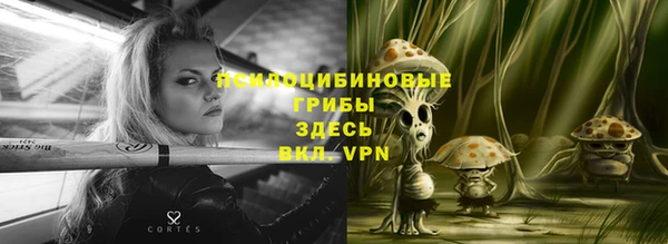 дурь Алзамай