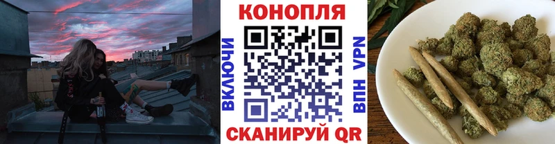 Конопля OG Kush  ОМГ ОМГ tor  Анадырь 